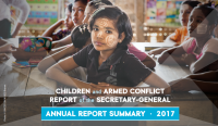 2017 Annual Report Summary