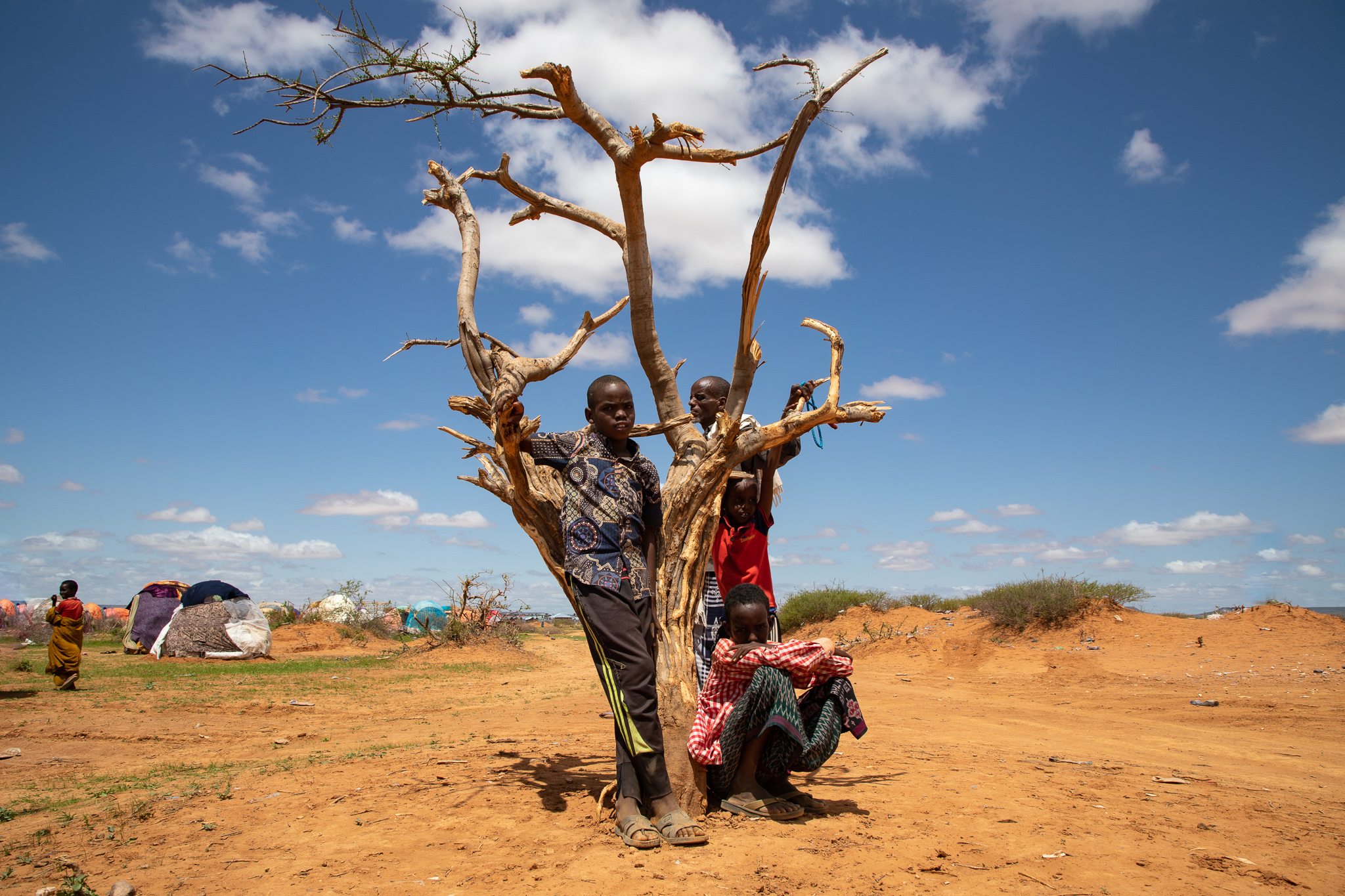 Drought in the Somali region of Ethiopia